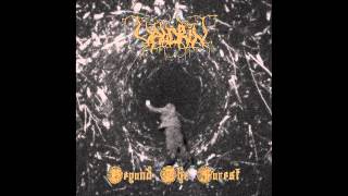 Watch Valdrin Beyond The Forest video