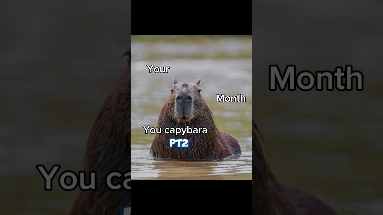 You month your capybara pt2😱