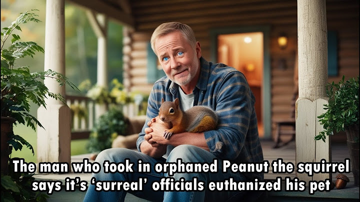 The man who took in orphaned Peanut the squirrel says it’s ‘surreal’ officials euthanized his pet