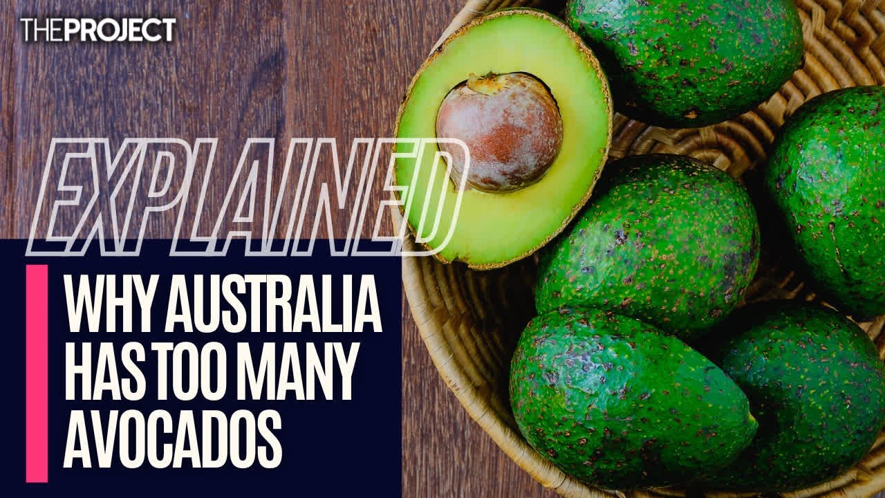 EXPLAINED: Why Australia Has Too Many Avocados