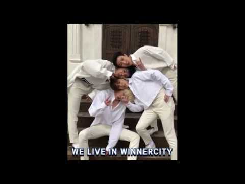 위너시티 WINNERCITY 영상 모음♥