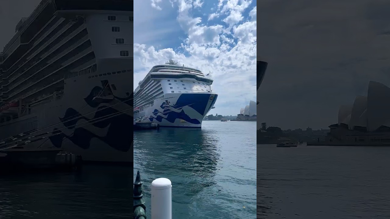 How Many Cruise Ships Can You Name? 🌍🚢