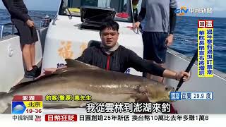 澎湖超大海鱺魚現身!魚身超過1公尺重達51.2公斤中視新聞 ... 