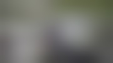 Python Eats Alligator 03 Music