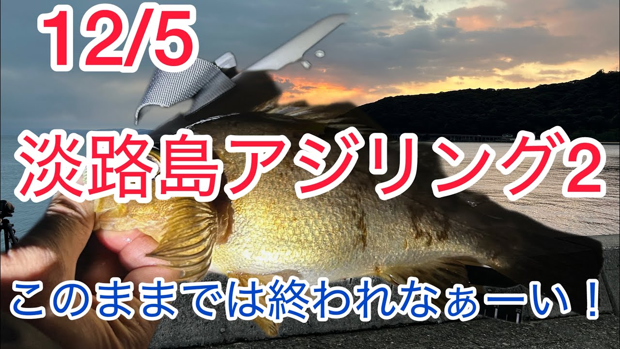 12/5淡路島アジリング2