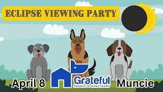 Dog-friendly Solar Eclipse Viewing Party!