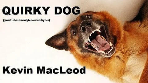 Quirky Dog - Kevin MacLeod - 2 Hours