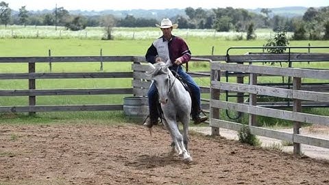 3. Shoulder In Work - Shoulder In On The Circle