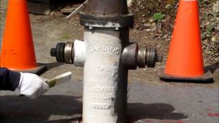 Fire Hydrant Restoration Demo