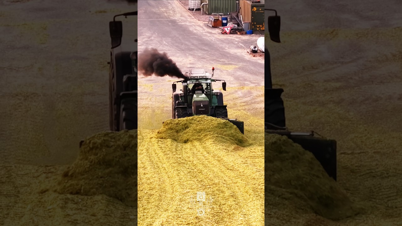 Fendt 920 TMS Action auf dem Silo! 🔥💪🏽🌽 Darum heißt es "Waffenschmiede Marktoberdorf"