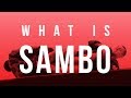 What is Sambo? \ sambo academy