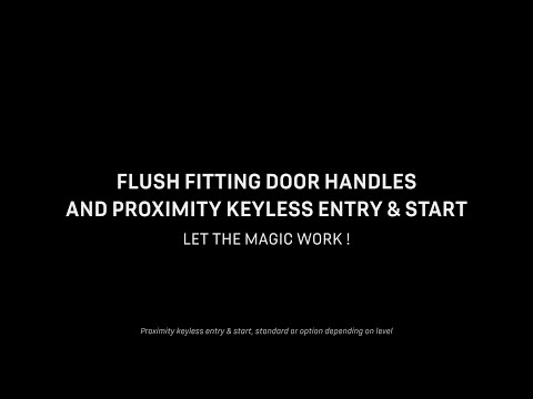 DS 4 / FLUSH FITTING DOOR HANDLES