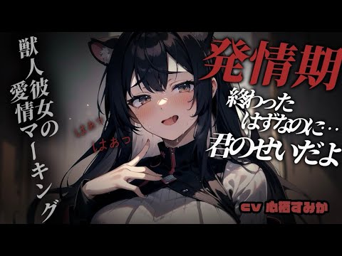 【女性優位/ヤンデレ】獣人彼女の浮気&NTR防止マーキング【男性向けシチュボ】