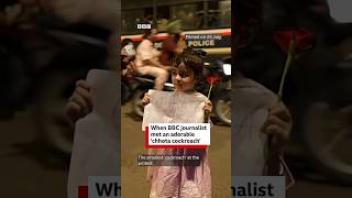 'Chhota cockroach' at CJP protest | BBC News India