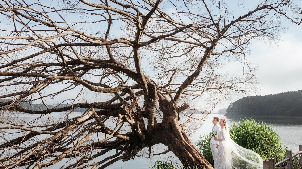 Chọn tụ bài tarot: HÀNH TRÌNH ĐI ĐẾN HÔN NHÂN CỦA BẠN.