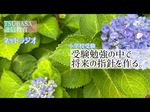 メリ－ランド 年長総合　9～10月分一式16回分　難関小学校受験！ Internet Radio] Building a Guide for the Future Through Entrance