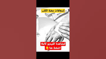 إسعافات عضة الكلب 