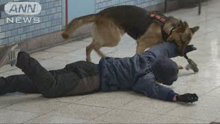 テロ訓練　都内地下鉄でも・・・拳銃男と爆発物に対処(15/11/20)