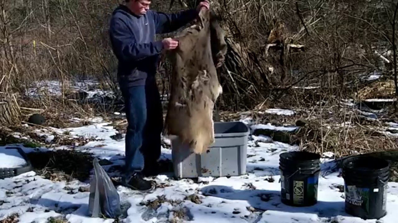 (part 2 of 3) HairOn Brain tanned Deer Skin YouTube