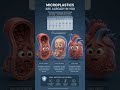 Вред от микропластика для организма #trending #бады #витамины #медицина #здоровье #fyp