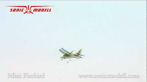 Firebird Flight Video.wmv