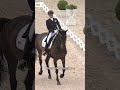 Jessica von Bredow-Werndl and Dalera dancing to this sound 😍 #dressage #chioaachen #dressagehorse