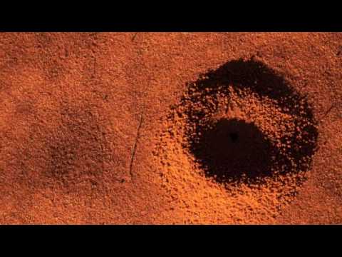 Visiting the Simpson Desert and Bush Heritage - Br...