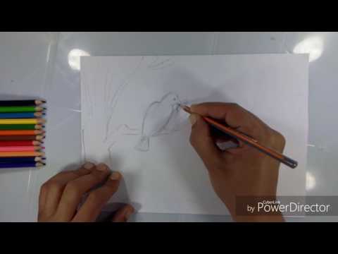 Video: How To Draw A Crow And A Fox