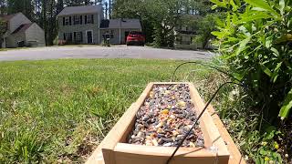 Bird watching using GoPro Hero 8