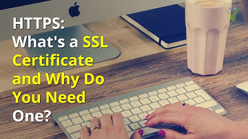 Why You Need A SSL Certificate and HTTPS