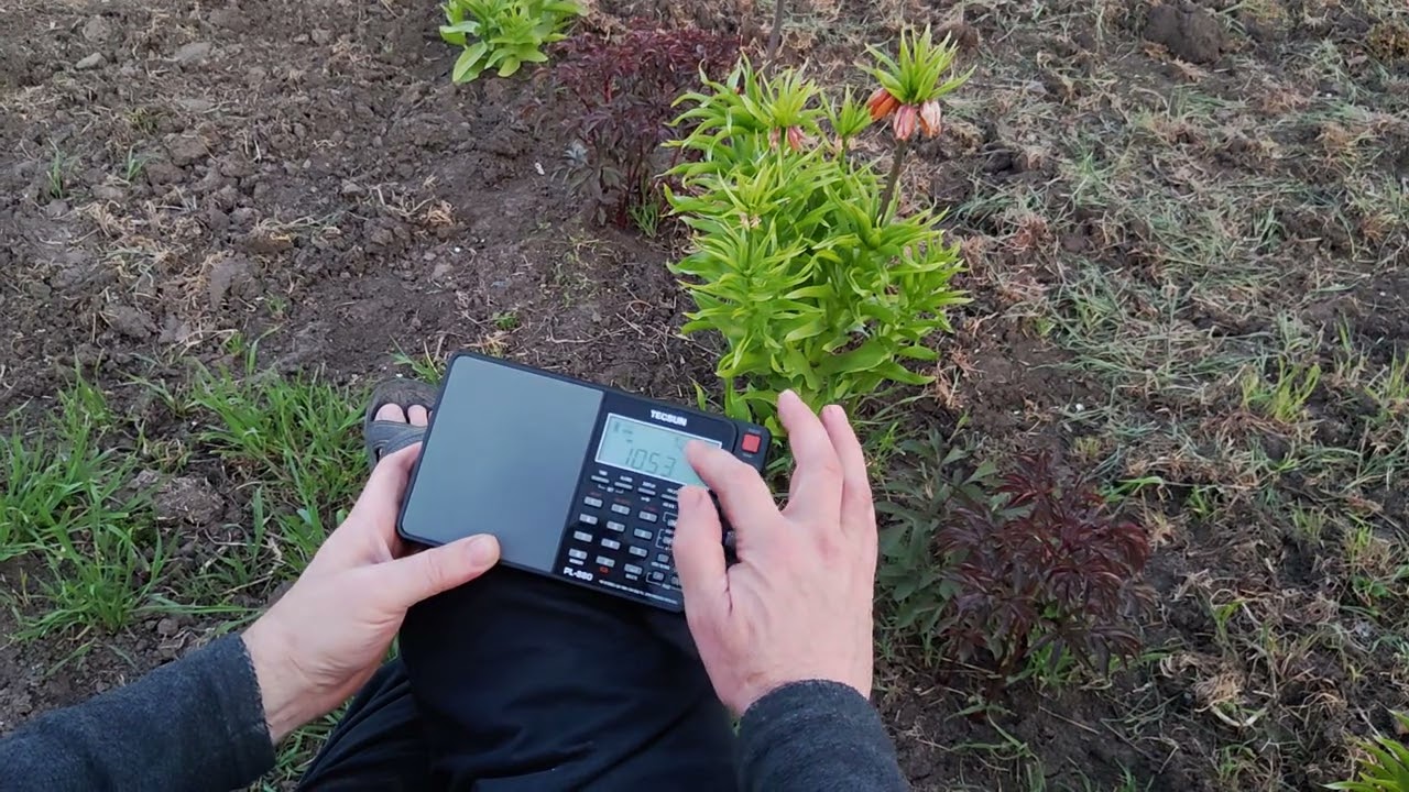 Tecsun PL 880. AM. Moldova. 