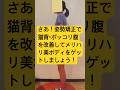 さあ！姿勢矯正で猫背・ポッコリ腹を改善してメリハリ美ボディをゲットしましょう！