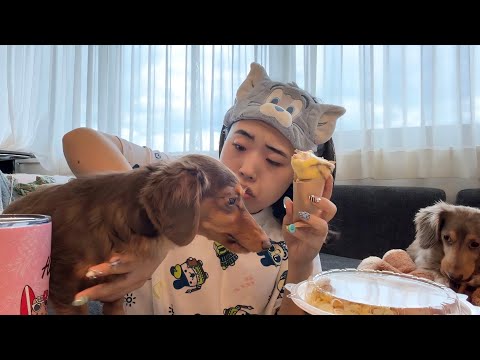 ヒヨごん - YouTube