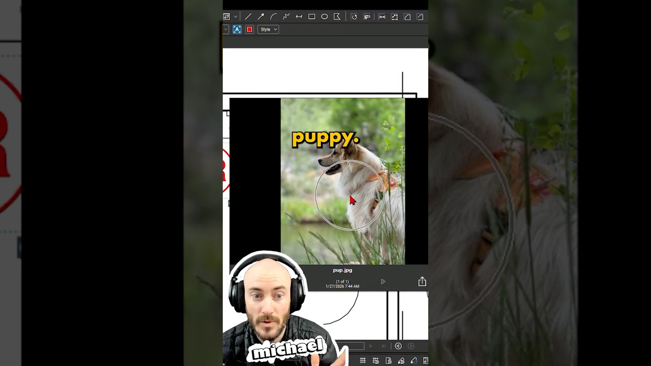 Мобильное приложение Bluebeam Revu мертво 