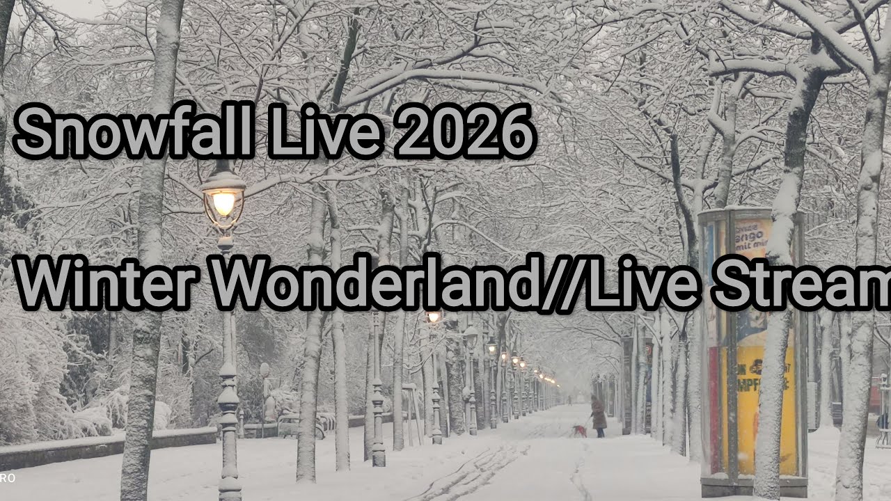 ❄️Welcome to our Relaxing Snowy Day Live Stream❄️//Winter Wonderland Live Stream
