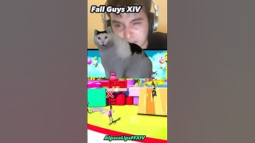 The Fall Guys XIV Experience #ffxiv #shorts