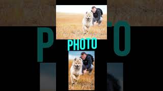 Pourquoi jaime pas quand ... on veut voir mes photos directement sur mon appareil !