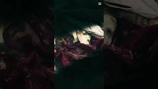 Mera’yı Balık Bastı !!! 1 Gece’de 39 Adet Balık ! #levrek #çipura #balık #kamp