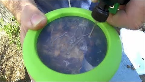 CO2 Method for testing varroa mite levels in my colonies