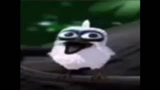 Bird screams (earrape warning)