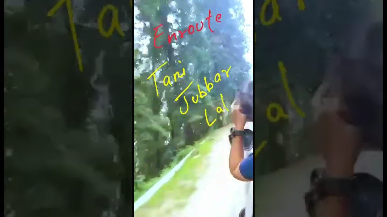 Video thumbnail: #shorts #short #youtubeshorts Tani Jubbar Lake #himachalpradesh