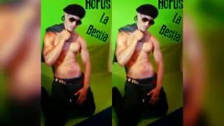 Horus Striper Vip De Venezuela - Horus Strip