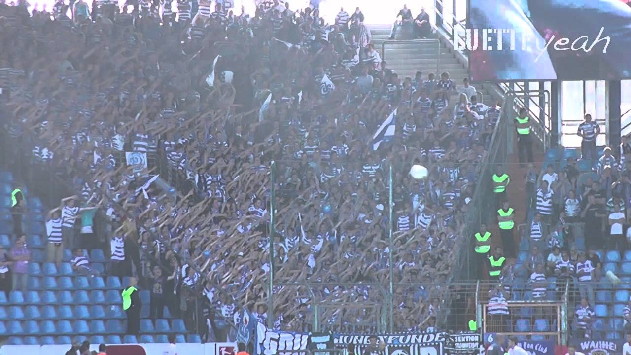 Zebras in Bochum, September 2011 (2:1)