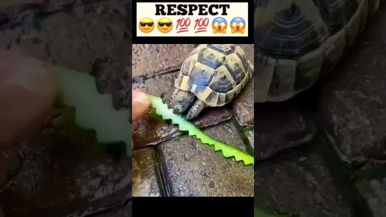 Respect 😱 Perfect artist 💯😍 