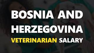 Veterinarian Salary In Bosnia And Herzegovina | AVERAGE WAGE