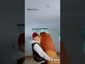 Simba The Lion TikTok Byollieb Simba The Lion TikTok Byollieb