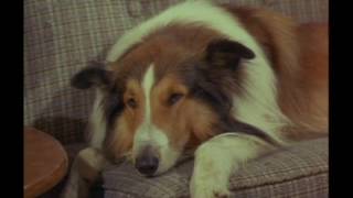 2 Rangers Lassie (Season 15 Eps24 Price of Wisdom)