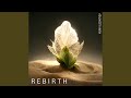 Rebirth