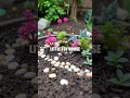 How to Create Your Own DIY Fairy Garden