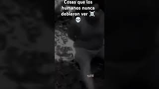 no te duermas morena no lo busquen por favor no